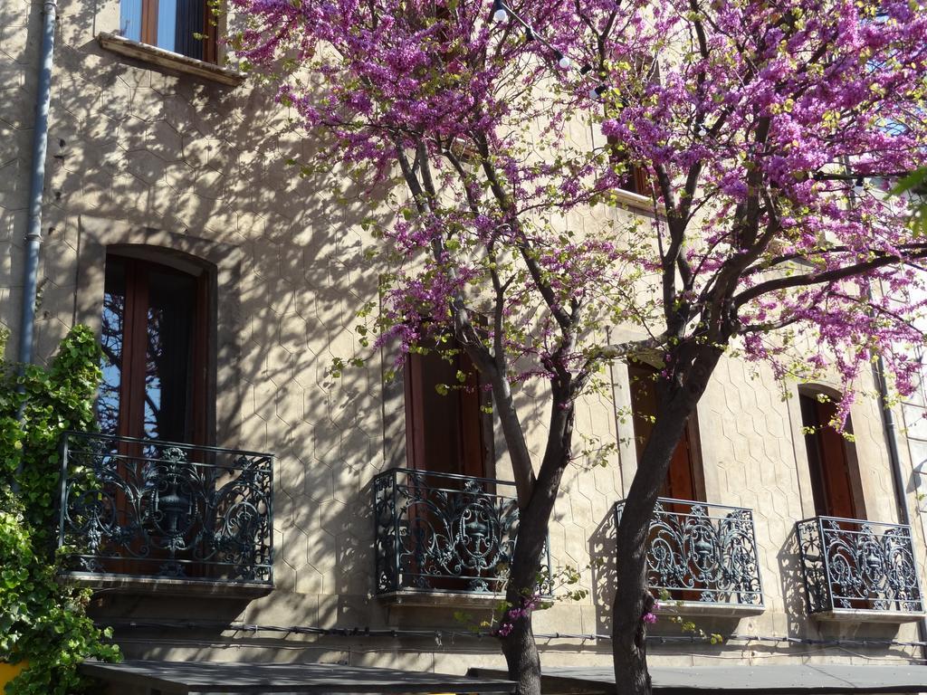 Hotel Les Santolines à Cucugnan Extérieur photo